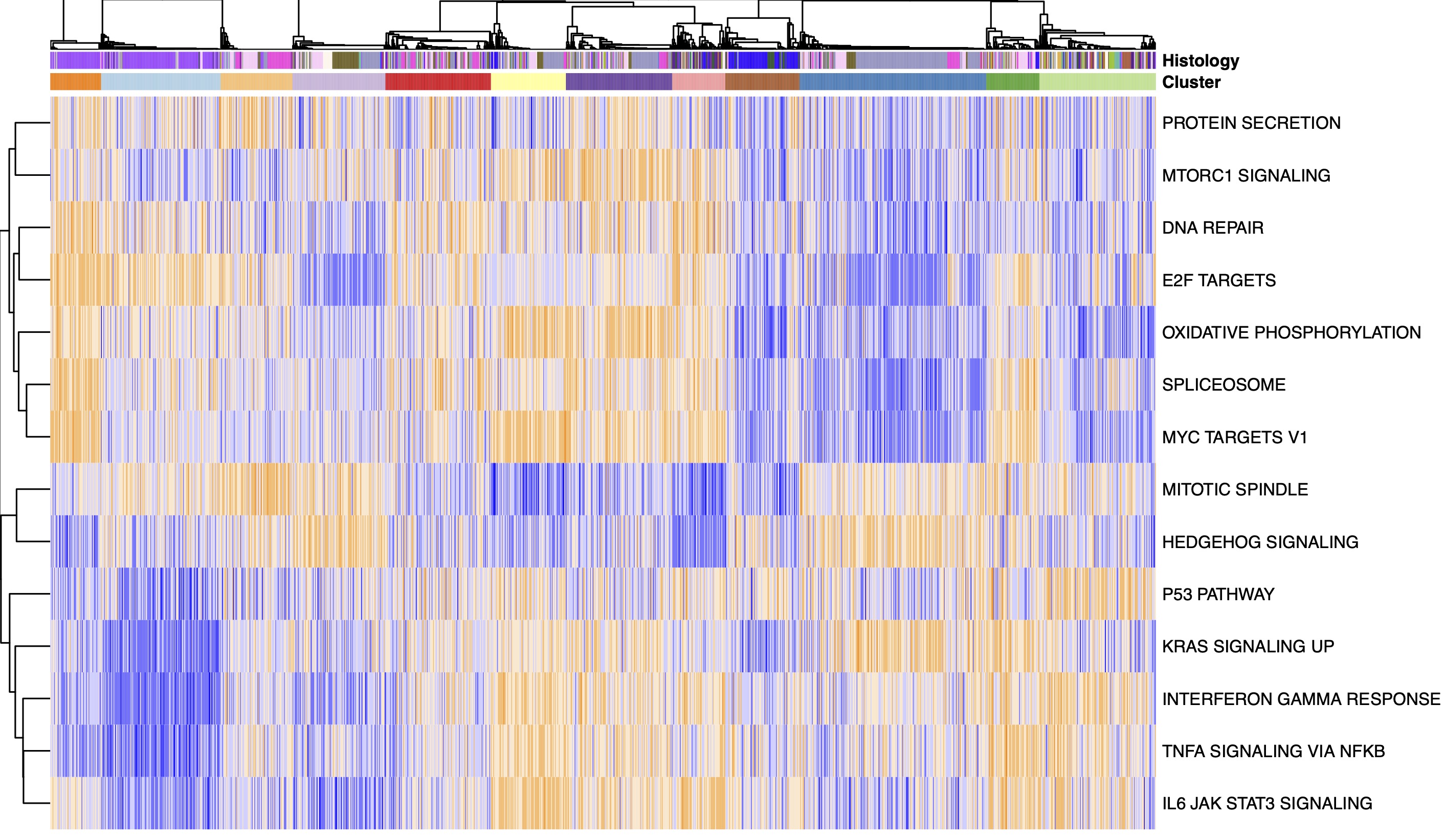 CLK1 as an oncogenic dependency